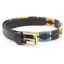 Shires Drover Polo Belt - Yellow/Dark Green/Purple