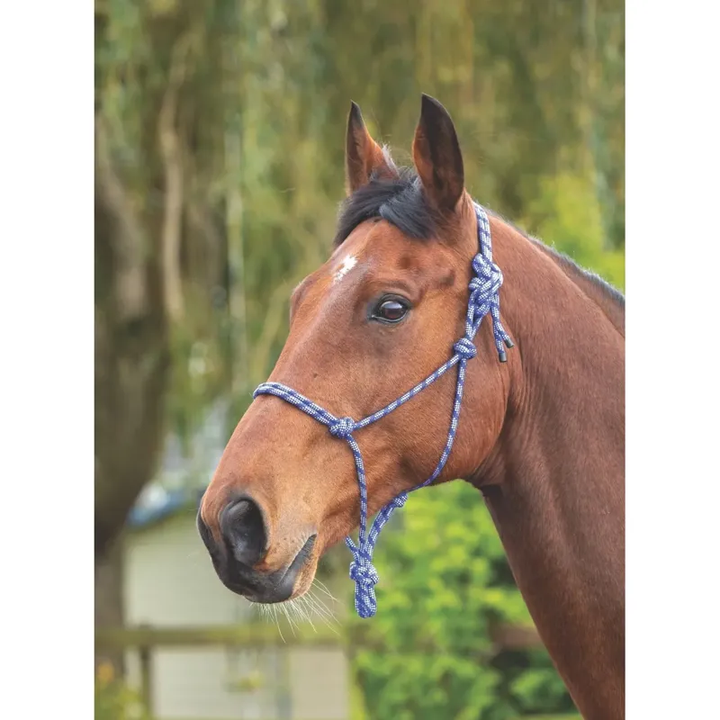 Shires ARMA Rope Control Headcollar - Navy/White 