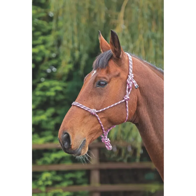 Shires ARMA Rope Control Headcollar - Pink/Black