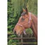 Shires ARMA Rope Control Headcollar - Pink/Black