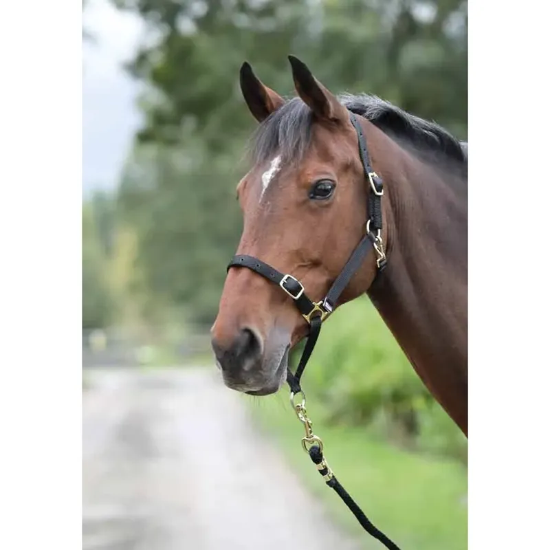 Shires Control Headcollar - Black