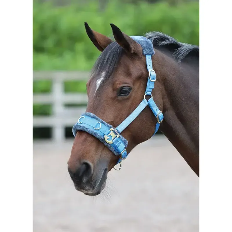 Shires Fleece Lined Lunge Cavesson - Blue