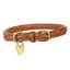 Shires Digby And Fox Rolled Leather Dog Collar - Tan