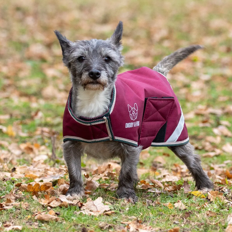 Shires Digby And Fox Waterproof Dog Rug Coat - Burgundy-1