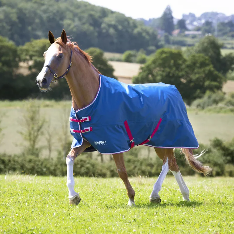 Shires Tempest Original Lite Turnout Rug - Teal