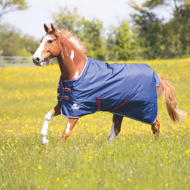 Shires Tempest Original Air Motion Turnout  Rug - Navy