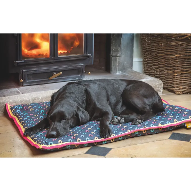 Digby And Fox Waterproof Dog Bed - Dog House