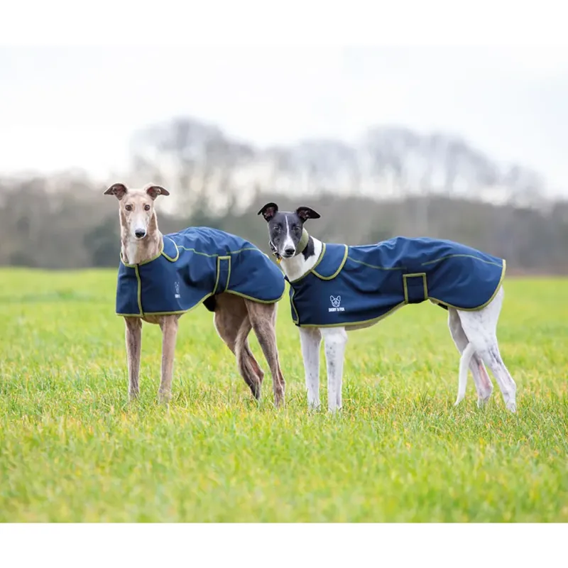Shires Digby And Fox Softshell Greyhound Coat - Navy