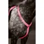 Shires EQUI-FLECTOR Breastplate - Bright Pink
