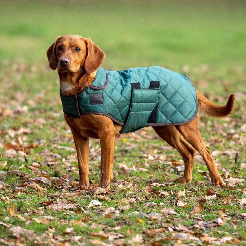Shires Digby And Fox Heritage Dog Rug Coat - Forest-1