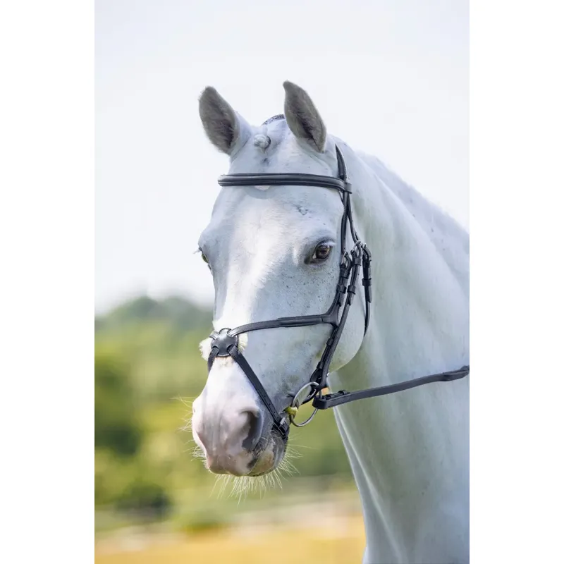 Shires Velociti RAPIDA Grackle Bridle - Black