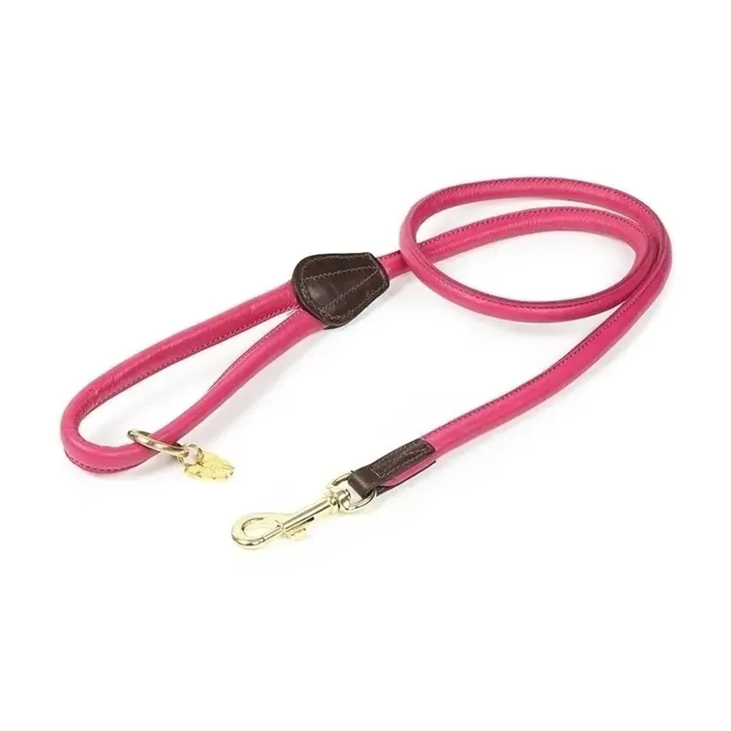 Digby and Fox Rolled Leather Dog Lead - Pink