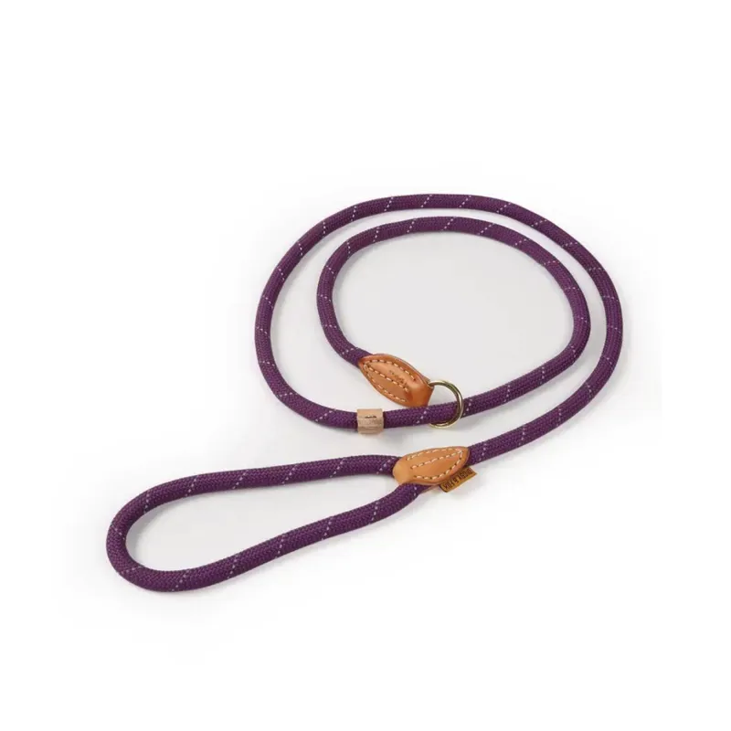 Digby And Fox Reflective Slip Dog Lead - Purple