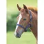 Shires ARMA Foal Headcollar - Royal
