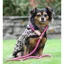 Digby And Fox Reflective Slip Dog Lead - Pink
