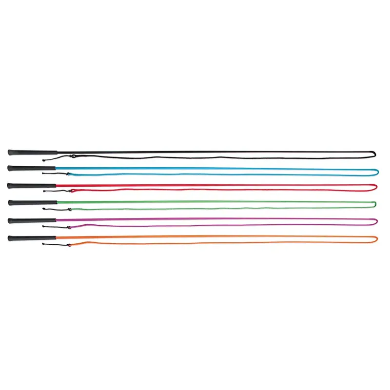 Shires Wessex Lunging Whip