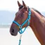 Shires Topaz Nylon Headcollar - Blue