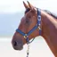 Shires Topaz Nylon Headcollar - Navy