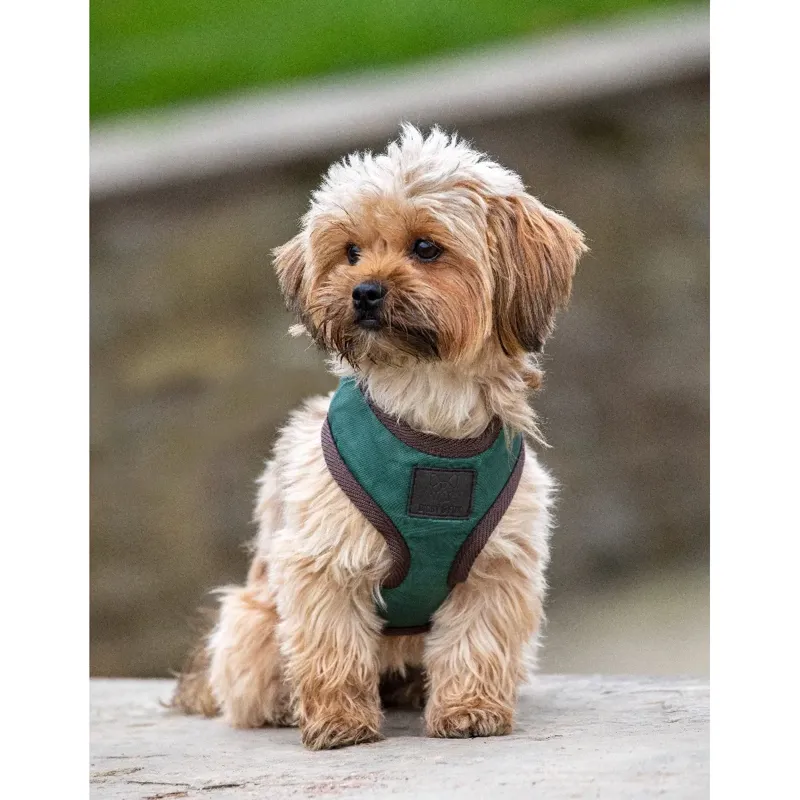 Shires Digby And Fox Heritage Harness - Forest-1