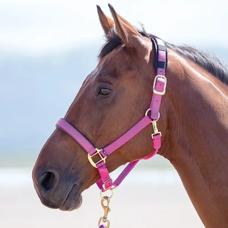 Shires Topaz Nylon Headcollar - Raspberry