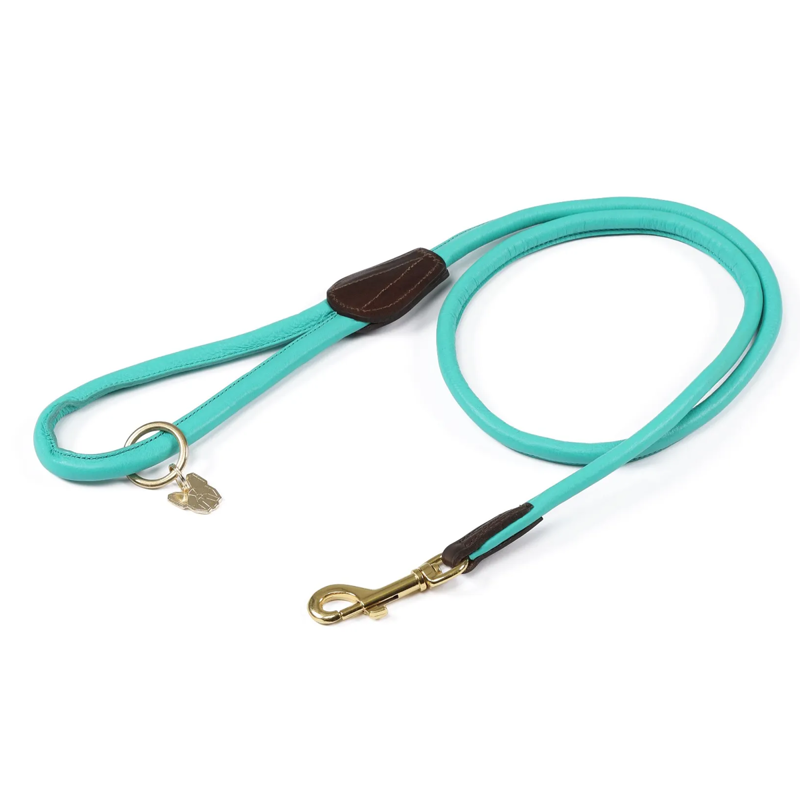 Shires Digby And Fox Rolled Leather Dog Lead - Teal