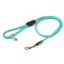 Shires Digby And Fox Rolled Leather Dog Lead - Teal