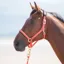 Shires Topaz Nylon Headcollar - Orange
