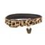 Digby And Fox Cow Hair Dog Collar - Leopard