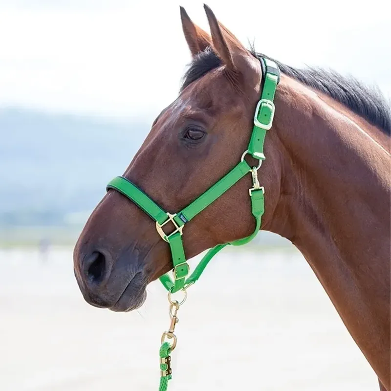 Shires Topaz Nylon Headcollar - Green