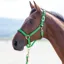 Shires Topaz Nylon Headcollar - Green