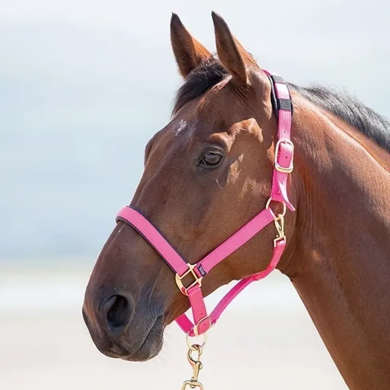 Shires Topaz Nylon Headcollar - Pink