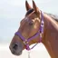 Shires Topaz Nylon Headcollar - Purple