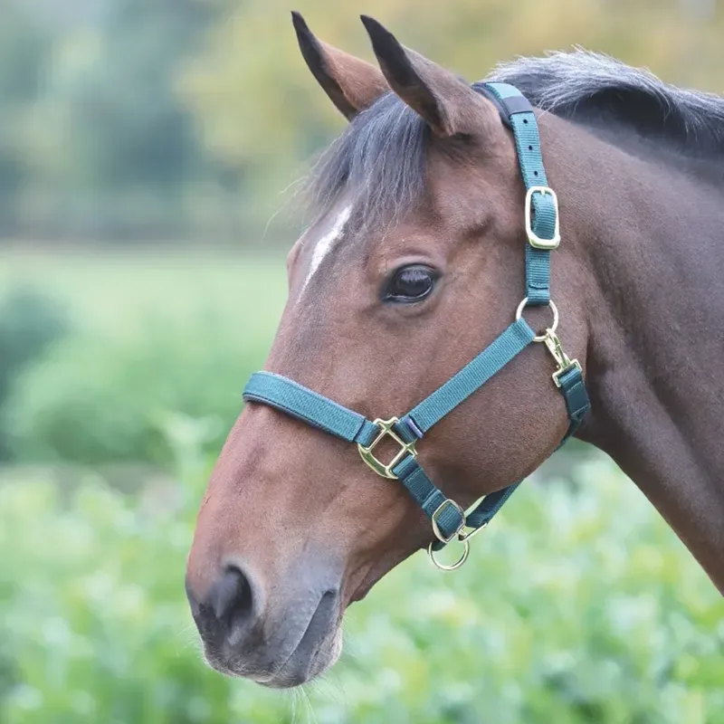 Shires Topaz Nylon Headcollar - Dark Green