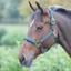 Shires Topaz Nylon Headcollar - Dark Green