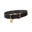 Shires Digby And Fox Flat Leather Dog Collar - Brown