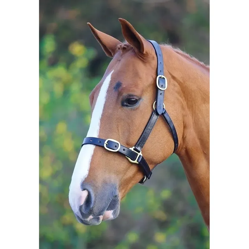 Velociti GARA Fully Adjustable Leather Headcollar - Black