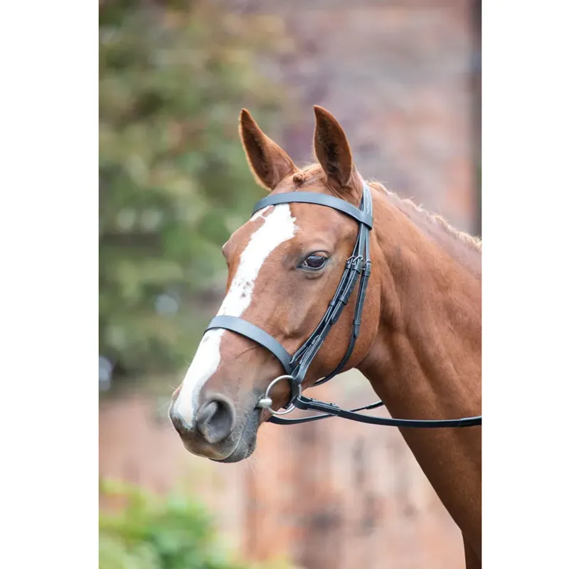 Avignon Hunter Cavesson Bridle - Black