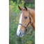 Shires GARA Fully Adjustable Leather Headcollar - Havana