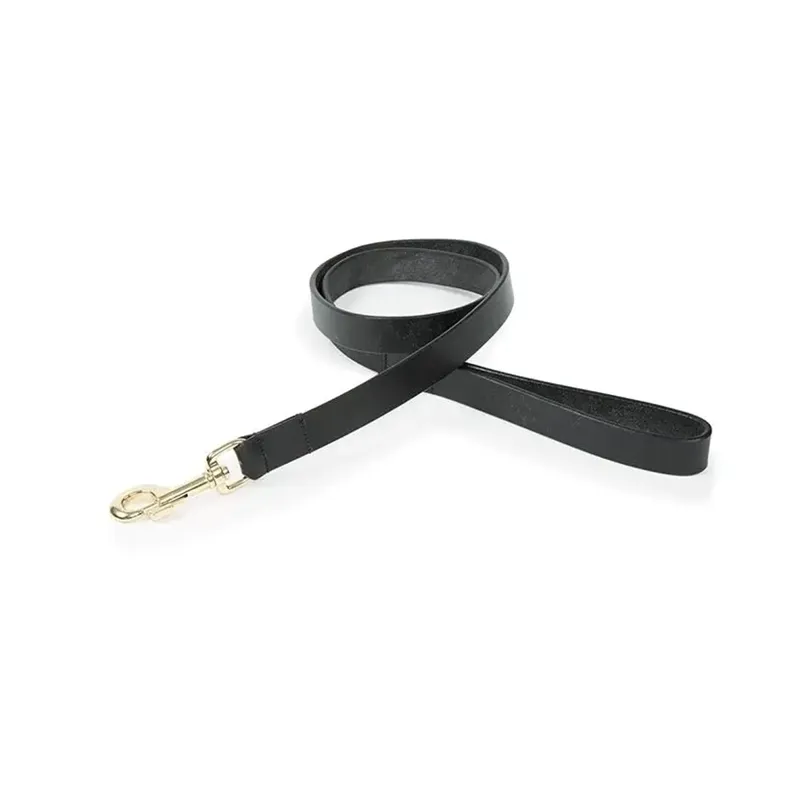 Shires Digby And Fox Flat Leather Dog Lead - Black