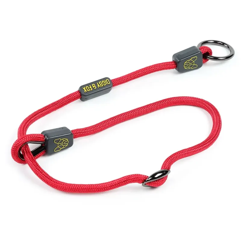 Shires Digby And Fox Pro Slip Dog Collar - Red
