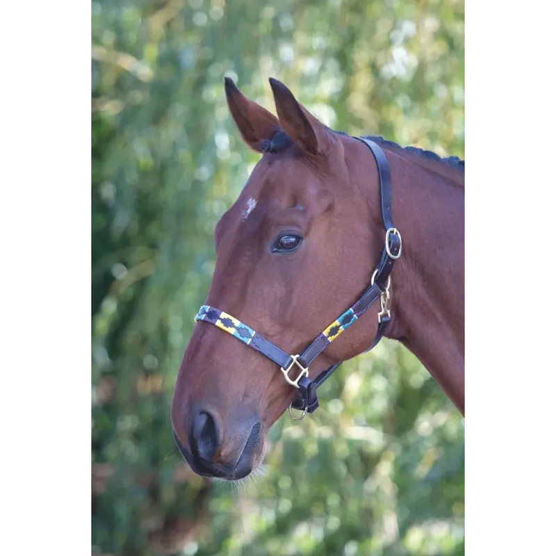 Velociti GARA Leather Polo Headcollar - Purple/Dark Green/Yellow