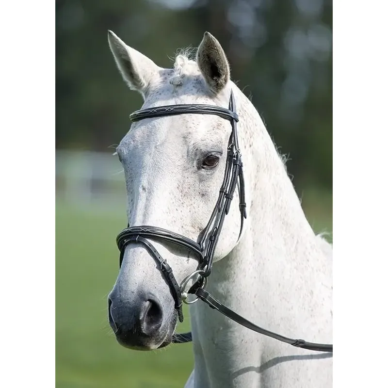 Shires Avignon Padded Raised Flash Bridle - Black