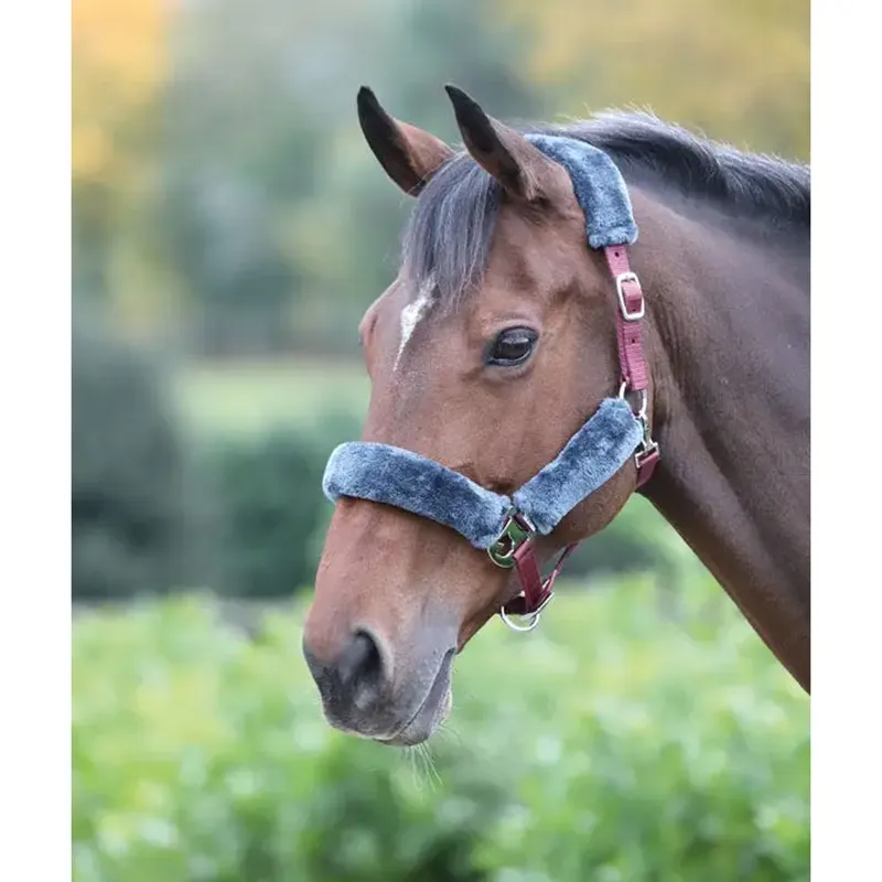 Shires Fleece Lined Headcollar - Burgundy/Grey 