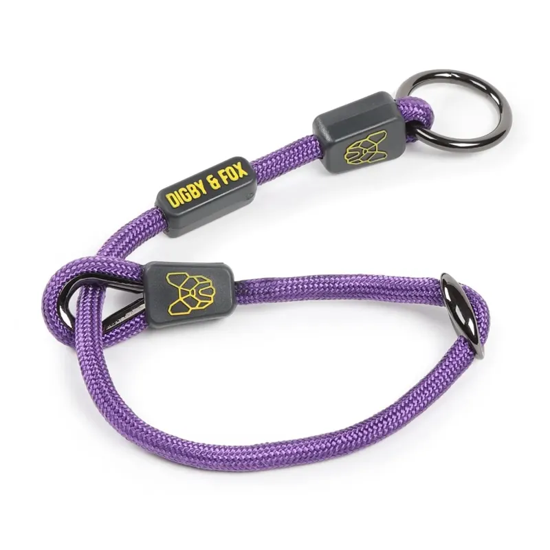 Shires Digby And Fox Pro Slip Dog Collar - Purple