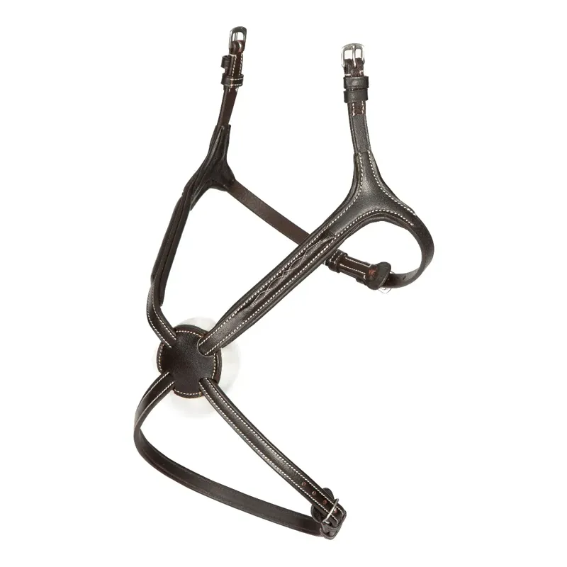 Shires Avignon Grackle Noseband - Havana