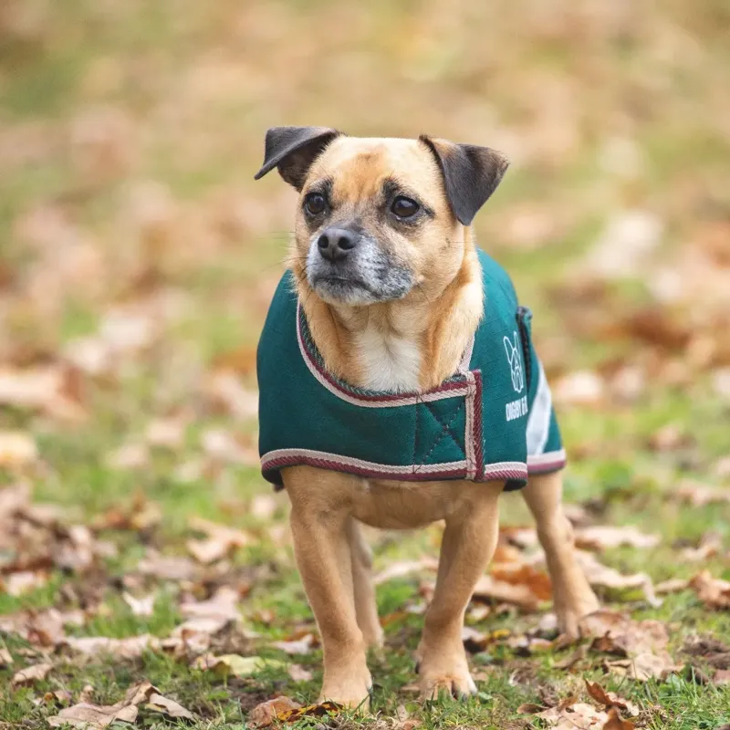 Shires Digby And Fox Waterproof Dog Rug Coat - Forest-1