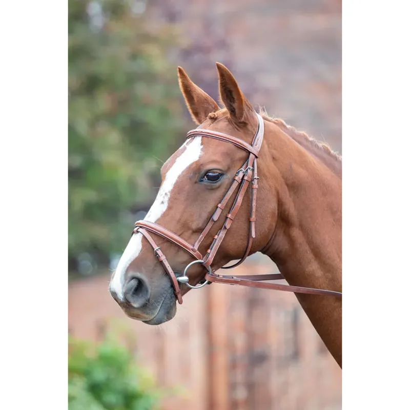 Shires Avignon Padded Raised Flash Bridle - Oak