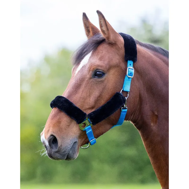 Shires Fleece Lined Headcollar - Blue