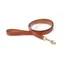 Shires Digby And Fox Flat Leather Dog Lead - Tan
