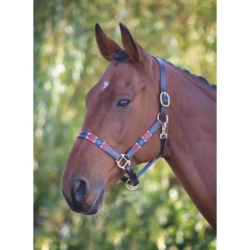 Velociti GARA Leather Polo Headcollar - Red/Navy